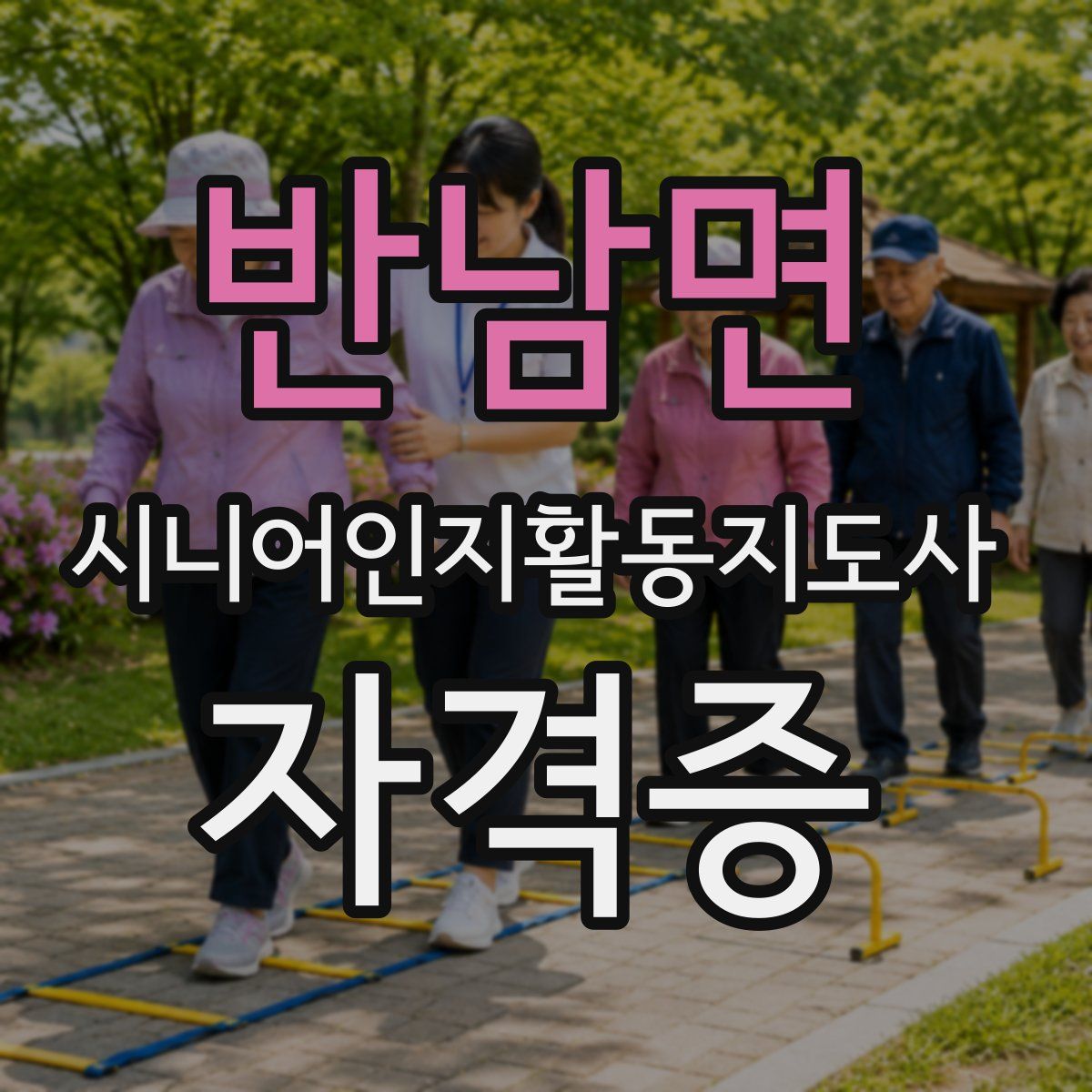반남면 시니어인지활동지도사 자격증