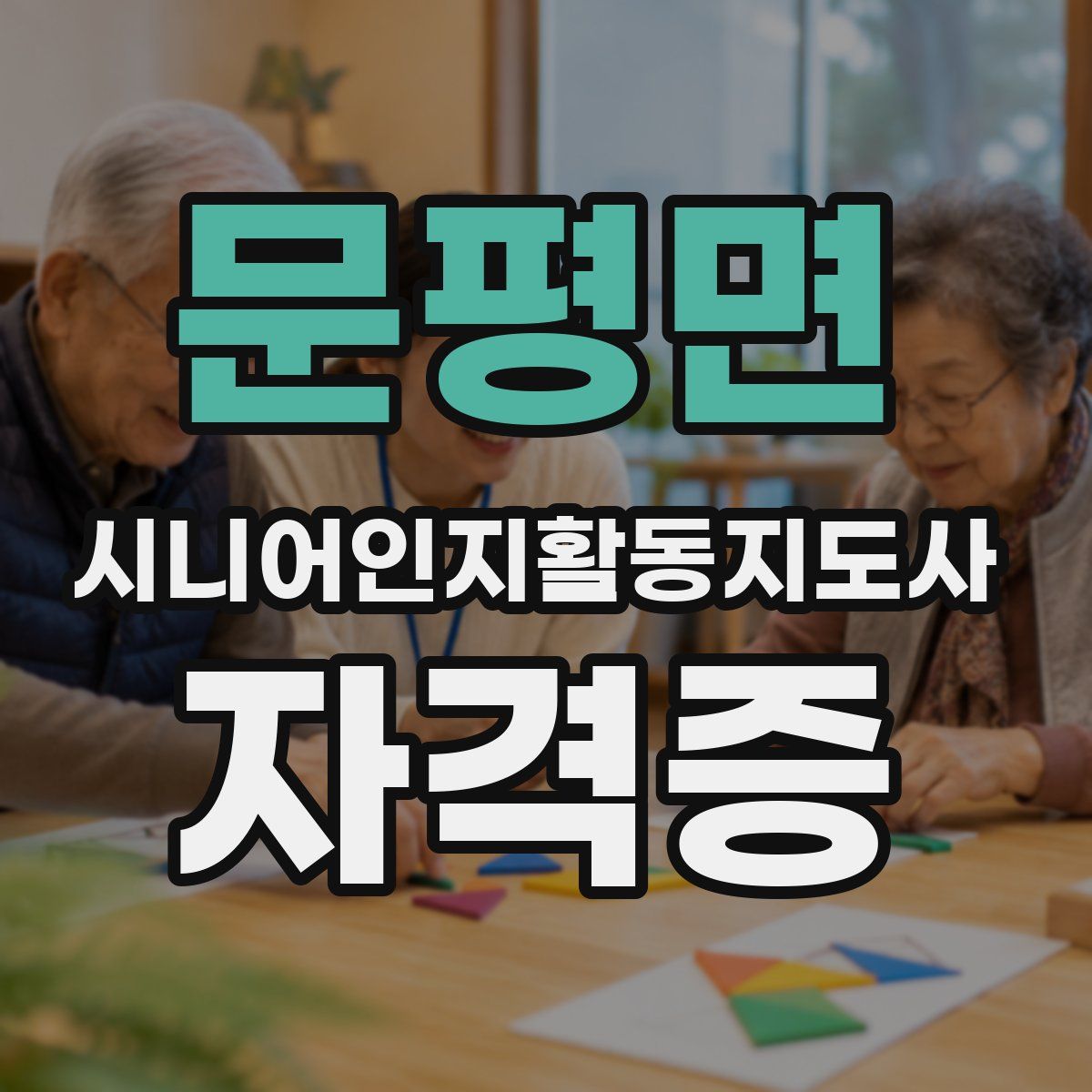 문평면 시니어인지활동지도사 자격증