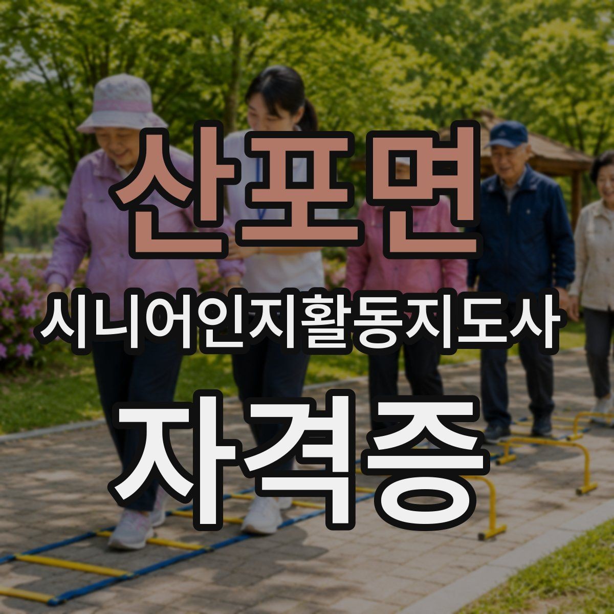 산포면 시니어인지활동지도사 자격증 취득 목적에 따라 달라지는 선택
