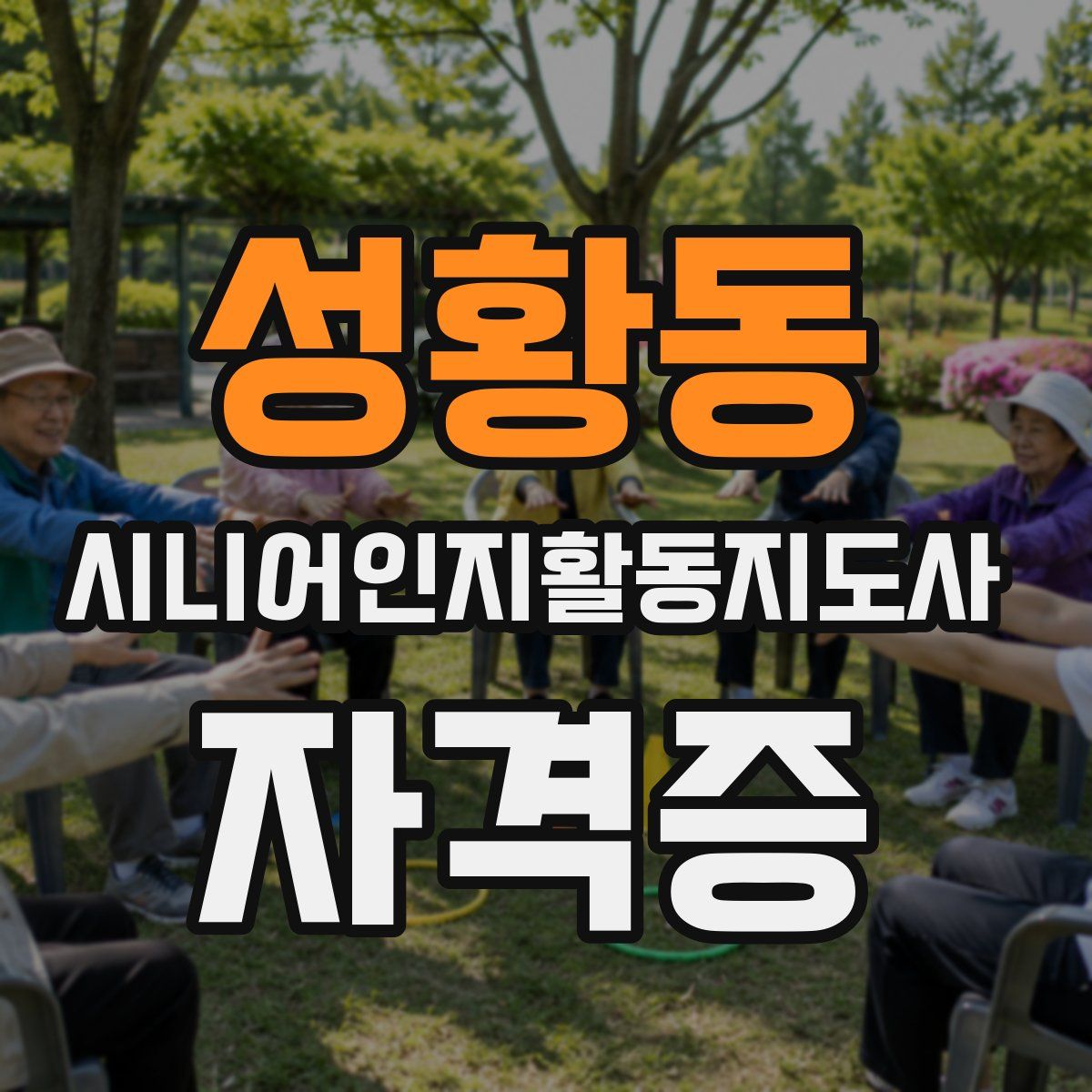 성황동 시니어인지활동지도사 자격증