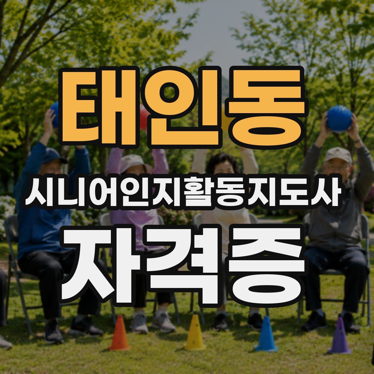 태인동 시니어인지활동지도사 자격증