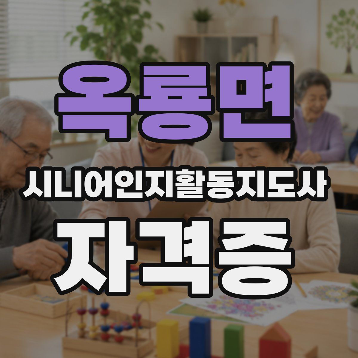 옥룡면 시니어인지활동지도사 자격증