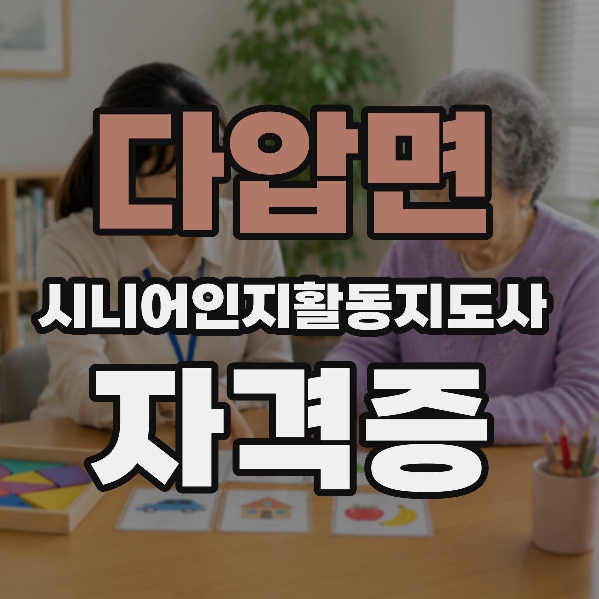 다압면 시니어인지활동지도사 자격증 시험 대비 핵심 정리