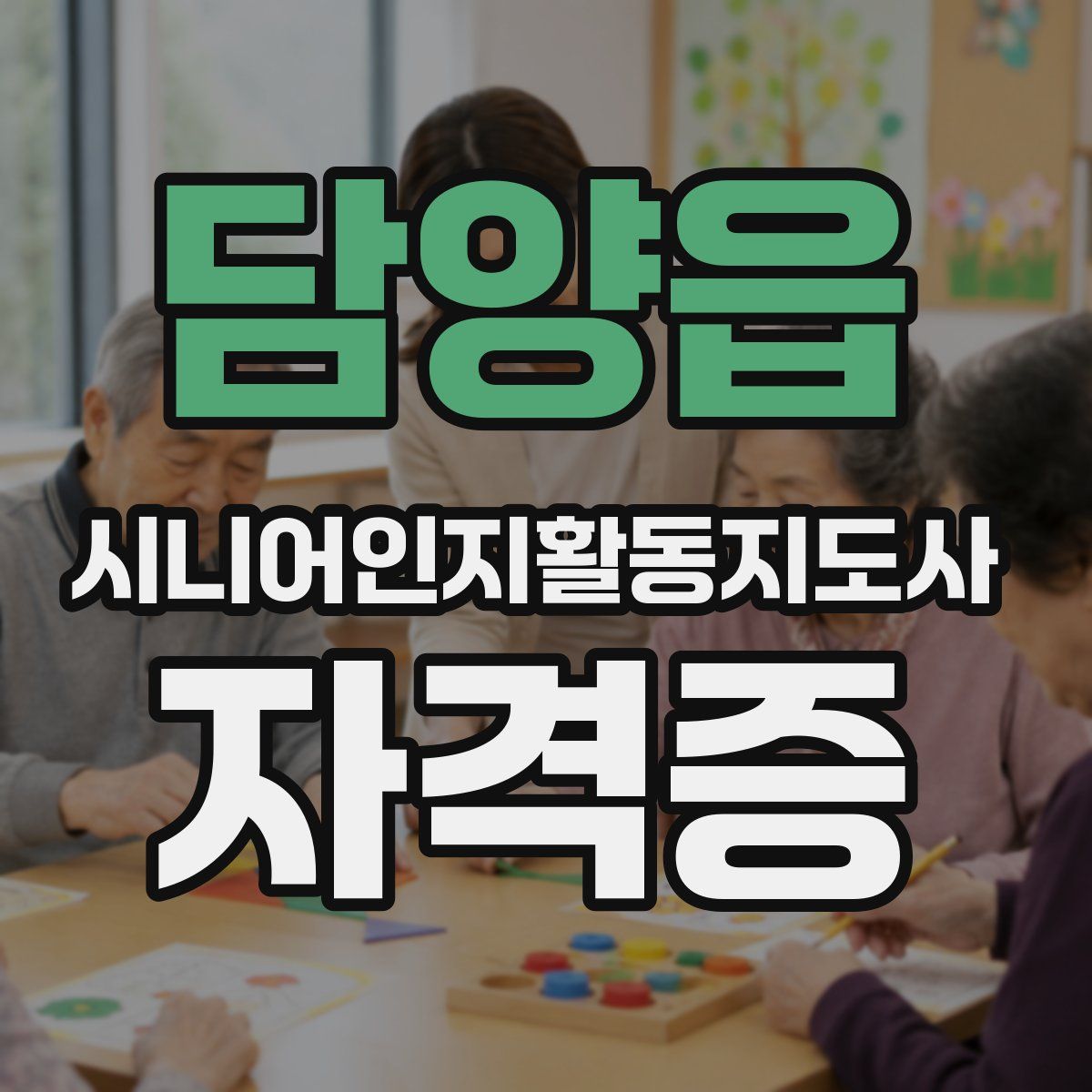 담양읍 시니어인지활동지도사 자격증