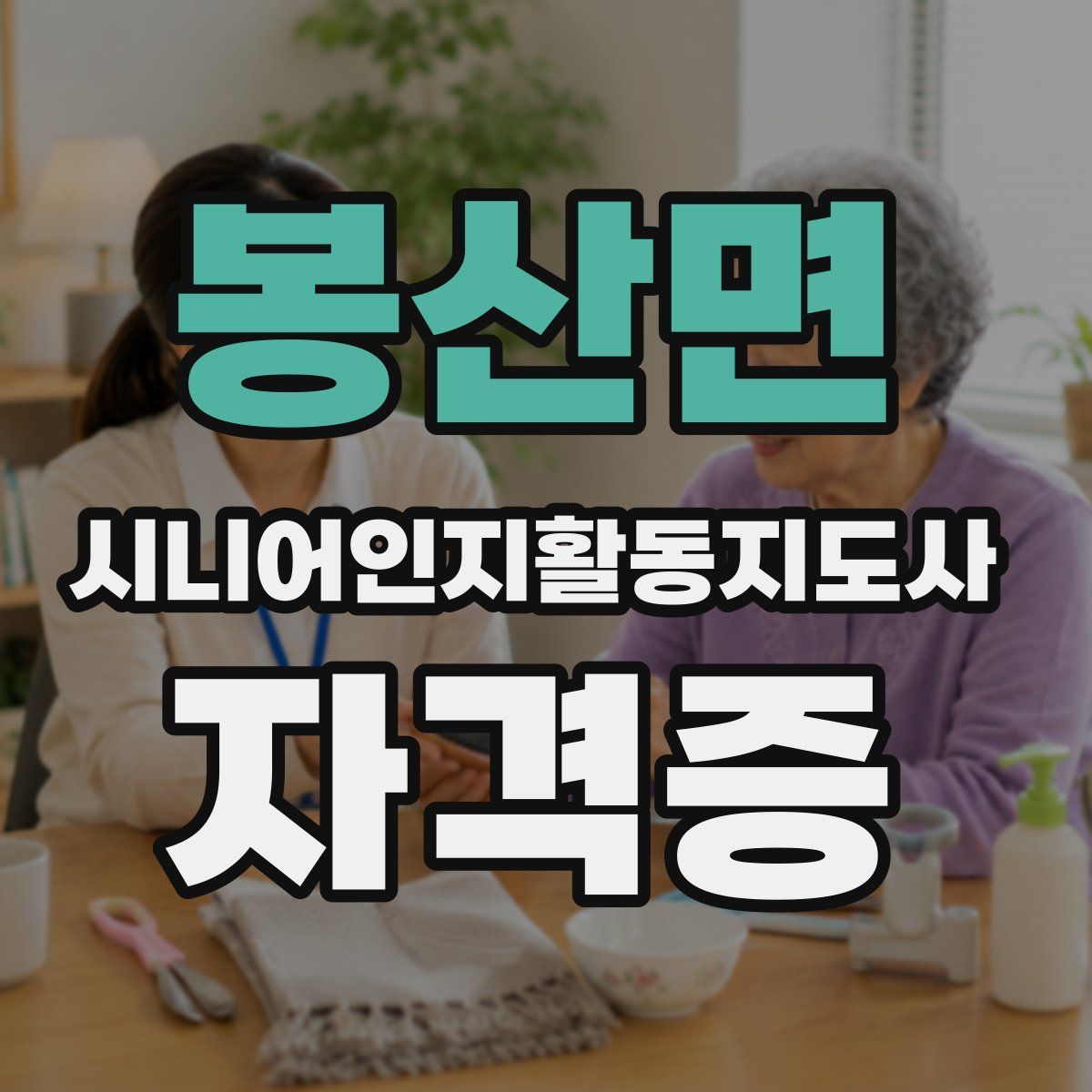 봉산면 시니어인지활동지도사 자격증