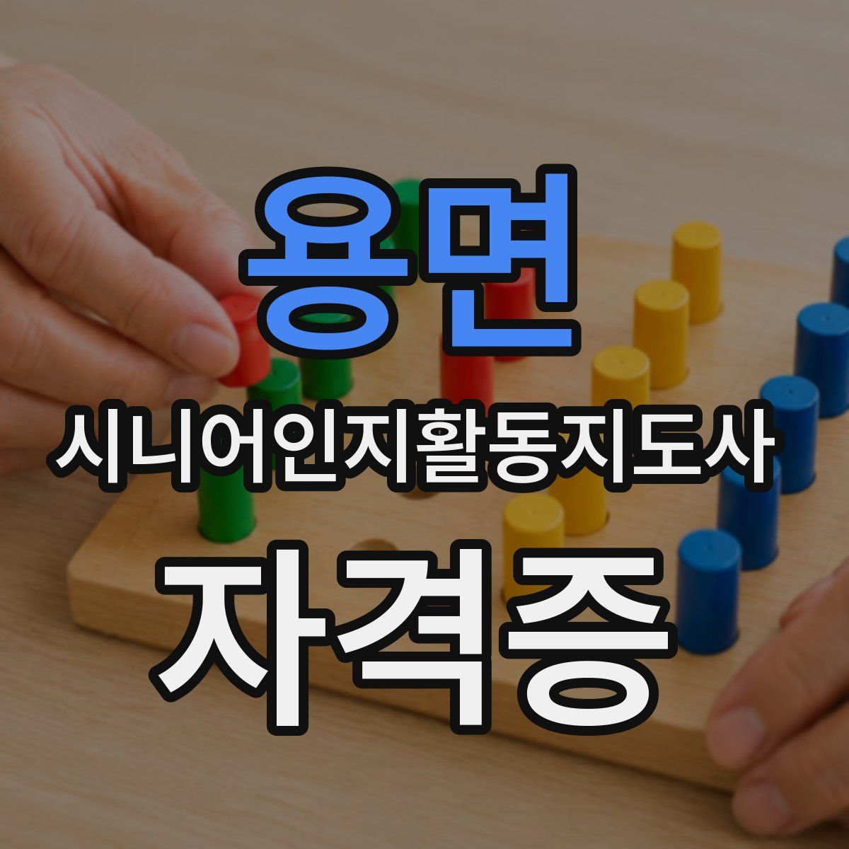 용면 시니어인지활동지도사 자격증