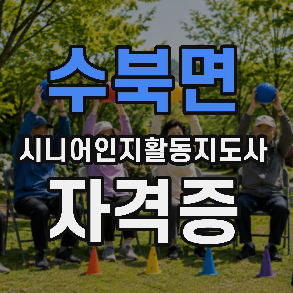 수북면 시니어인지활동지도사 자격증