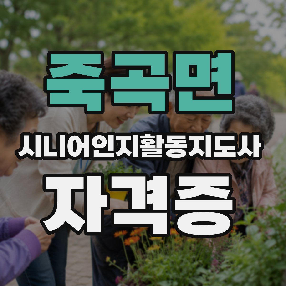 죽곡면 시니어인지활동지도사 자격증