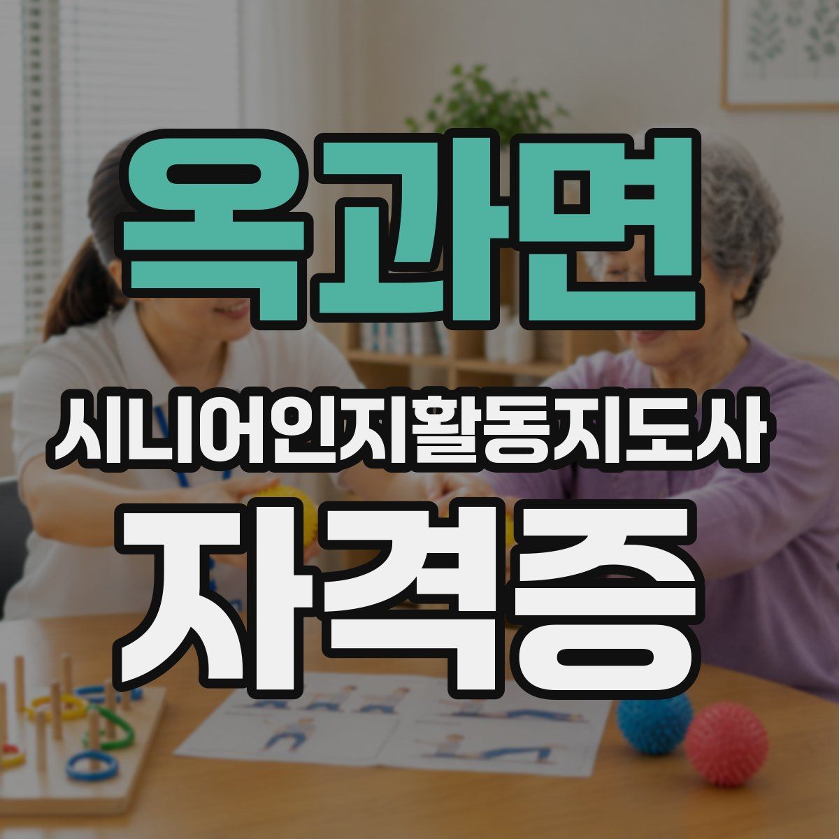 옥과면 시니어인지활동지도사 자격증