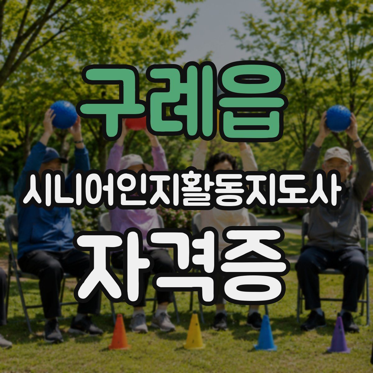 구례읍 시니어인지활동지도사 자격증