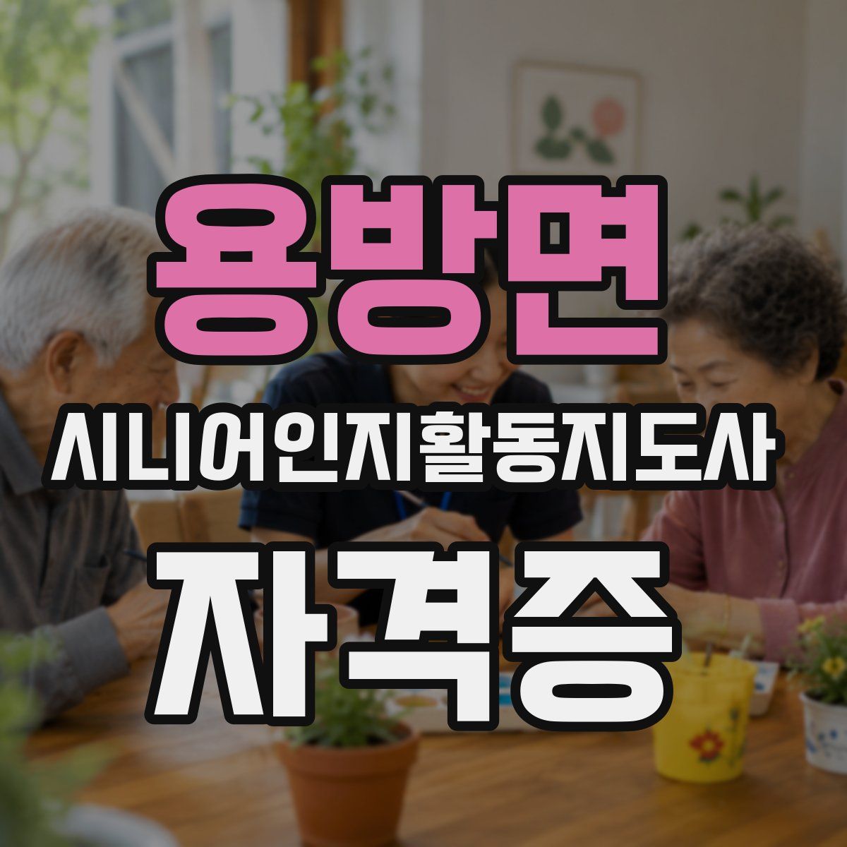 용방면 시니어인지활동지도사 자격증