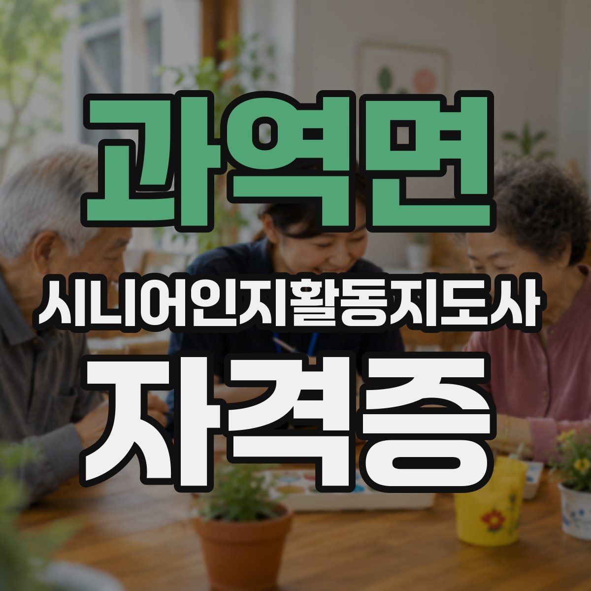 과역면 시니어인지활동지도사 자격증 연계 활동 분야 살펴보기