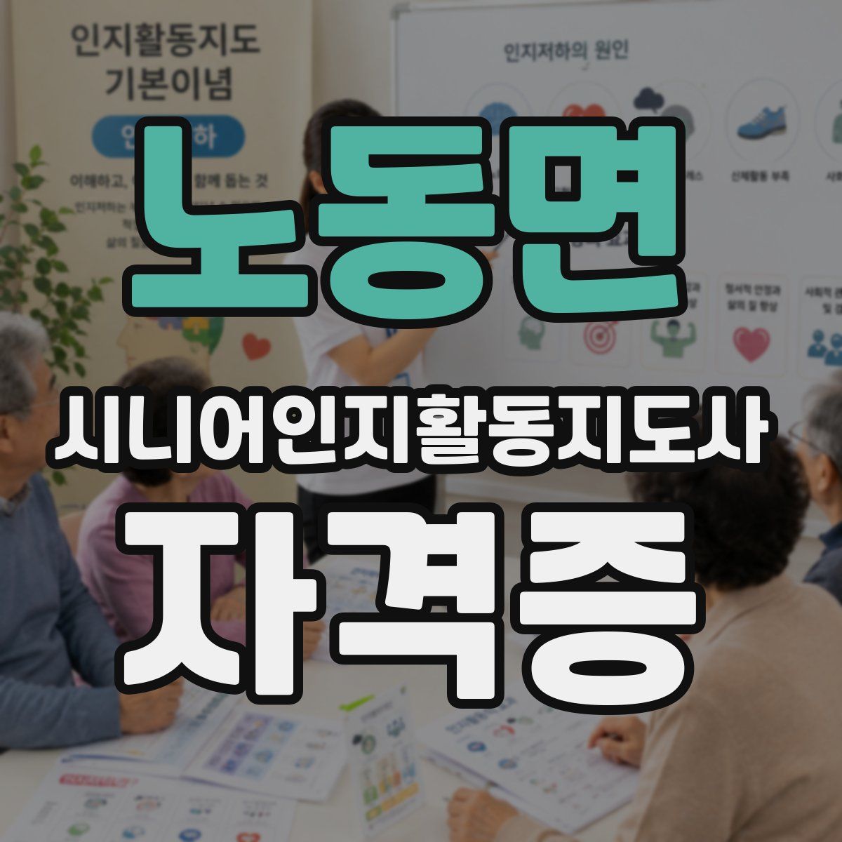 노동면 시니어인지활동지도사 자격증