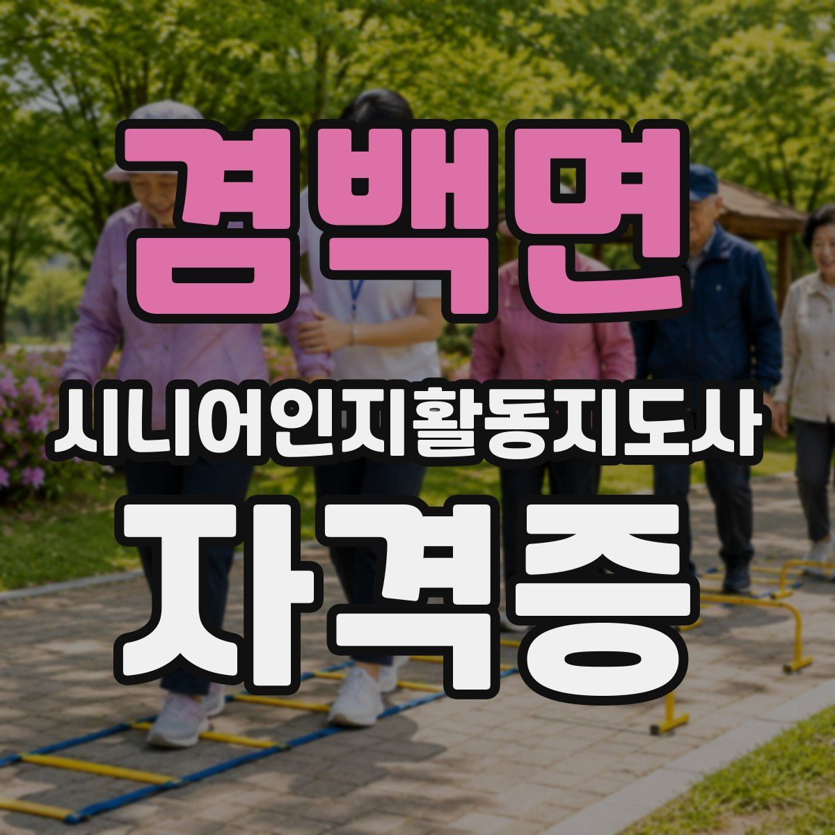 겸백면 시니어인지활동지도사 자격증