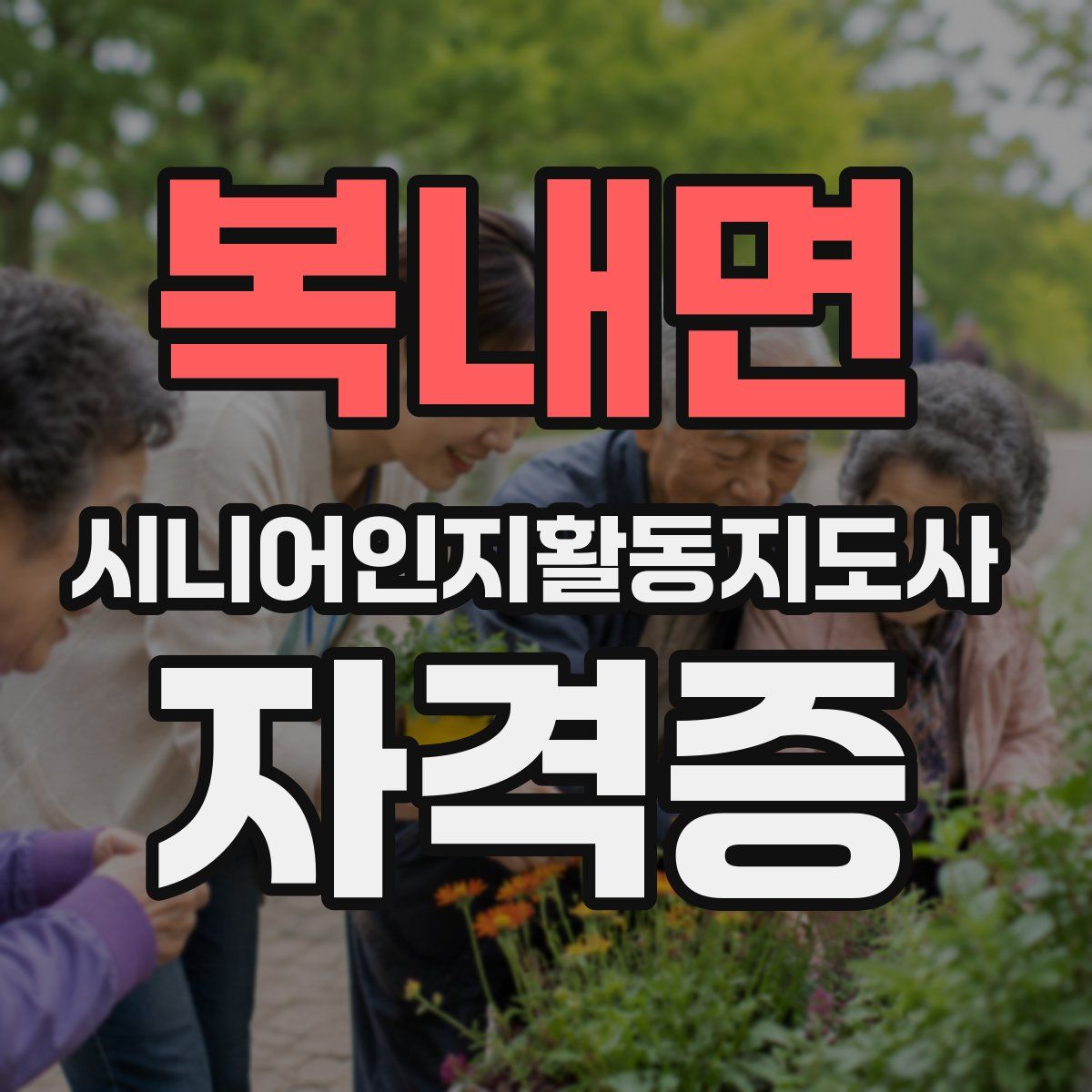 복내면 시니어인지활동지도사 자격증