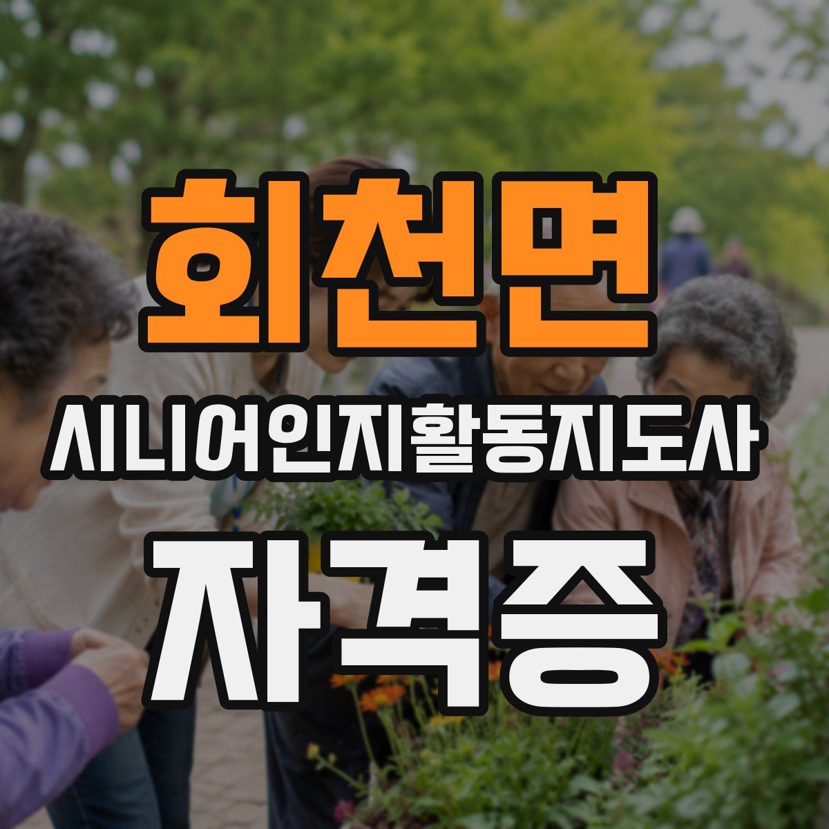 회천면 시니어인지활동지도사 자격증