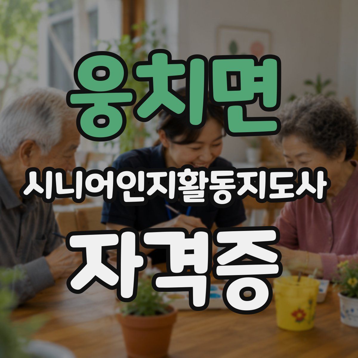 웅치면 시니어인지활동지도사 자격증