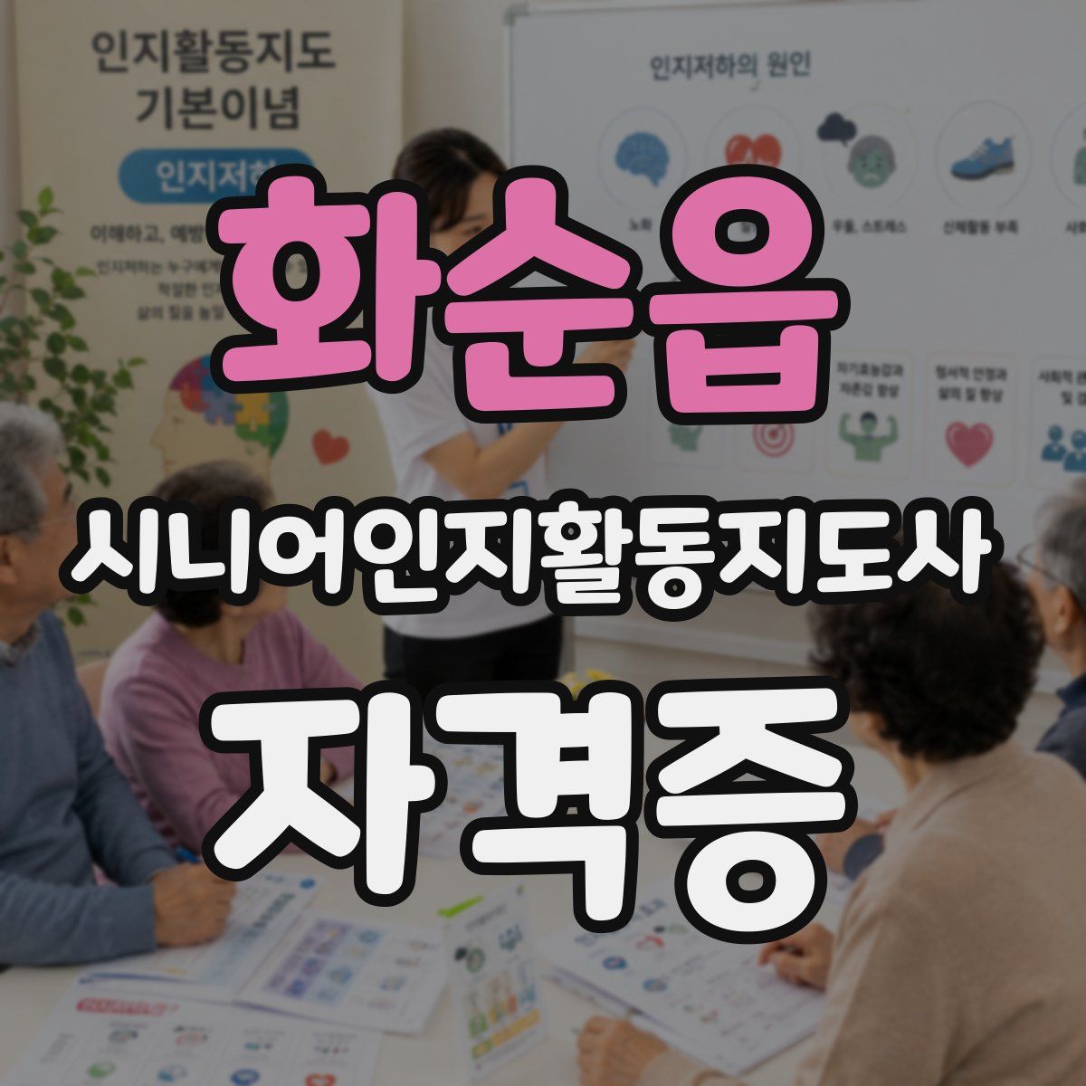 화순읍 시니어인지활동지도사 자격증