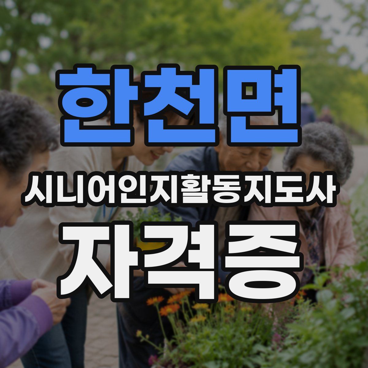 한천면 시니어인지활동지도사 자격증