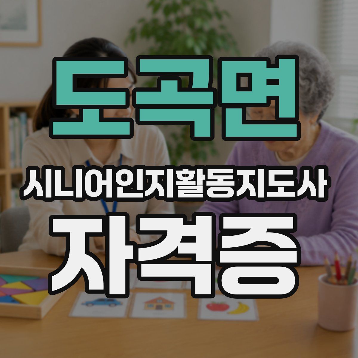 도곡면 시니어인지활동지도사 자격증