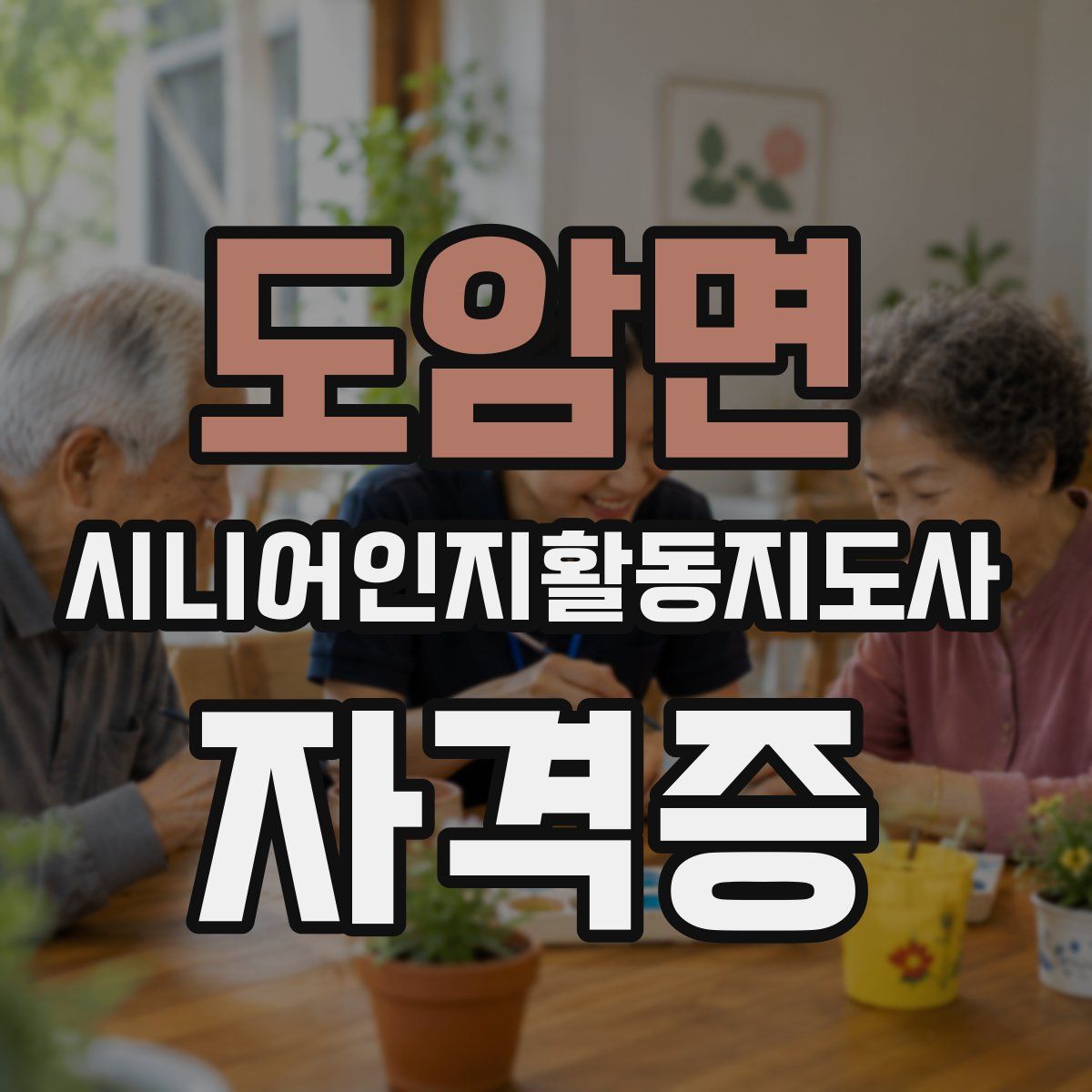 도암면 시니어인지활동지도사 자격증