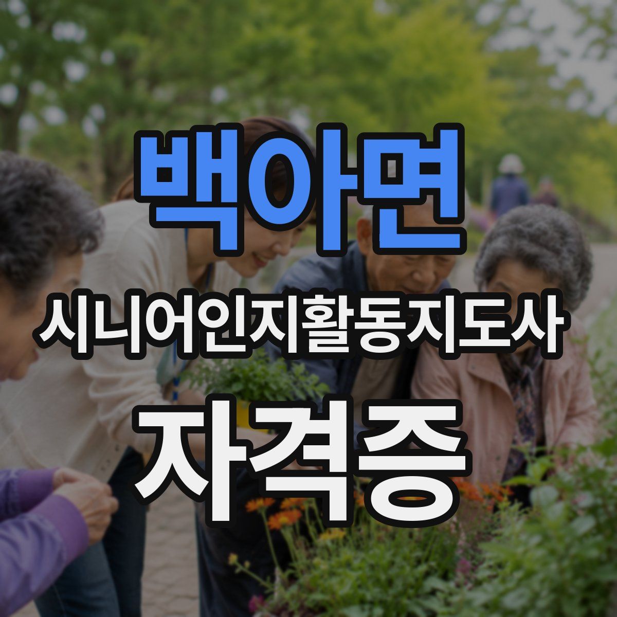 백아면 시니어인지활동지도사 자격증