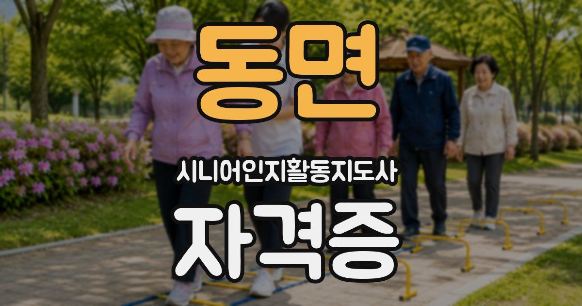 동면 시니어인지활동지도사 자격증