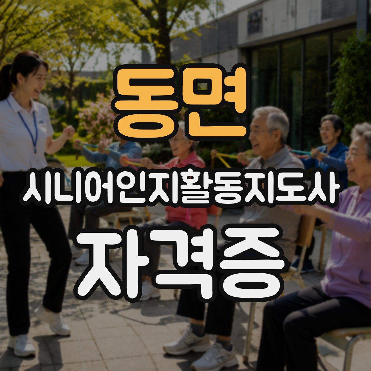 동면 시니어인지활동지도사 자격증
