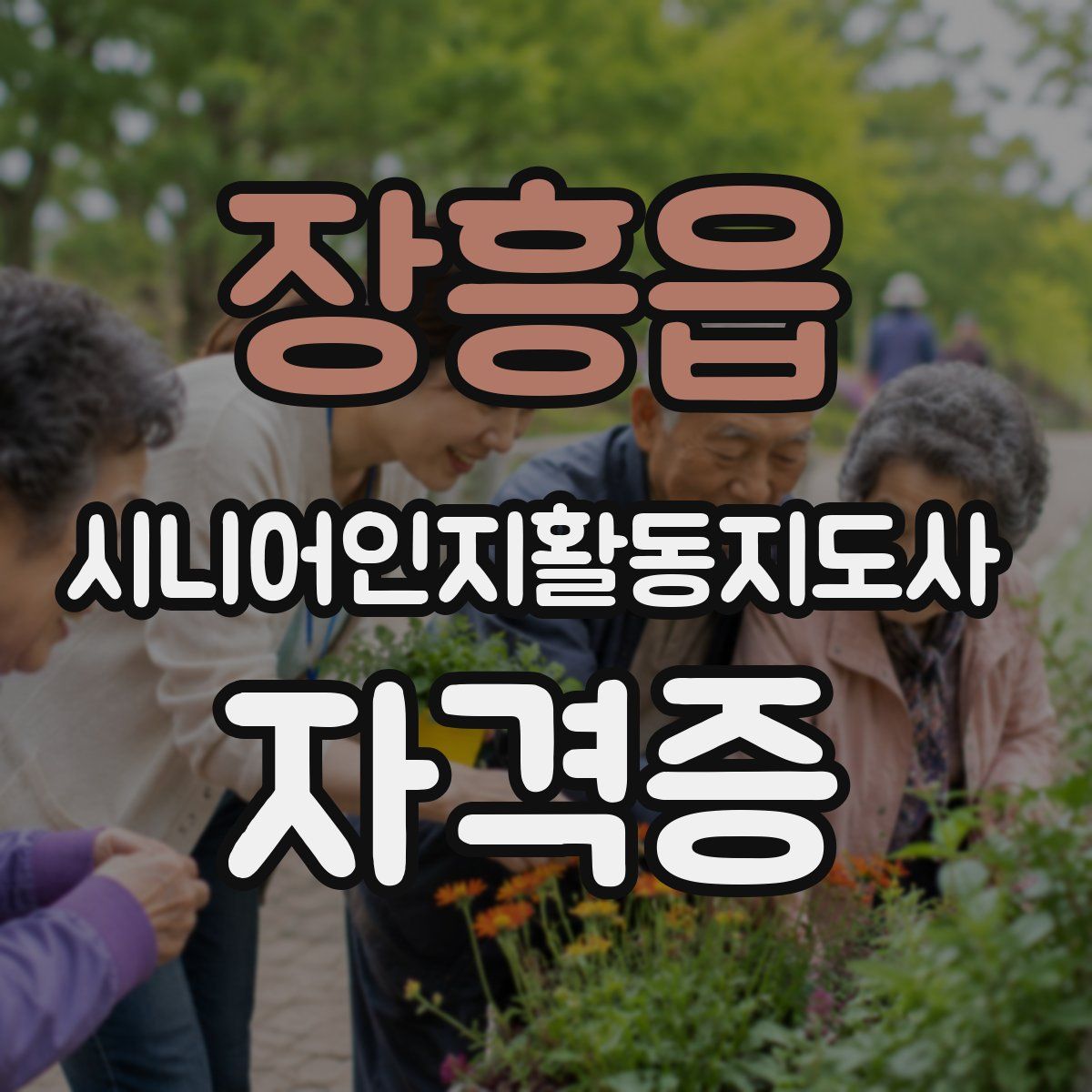장흥읍 시니어인지활동지도사 자격증