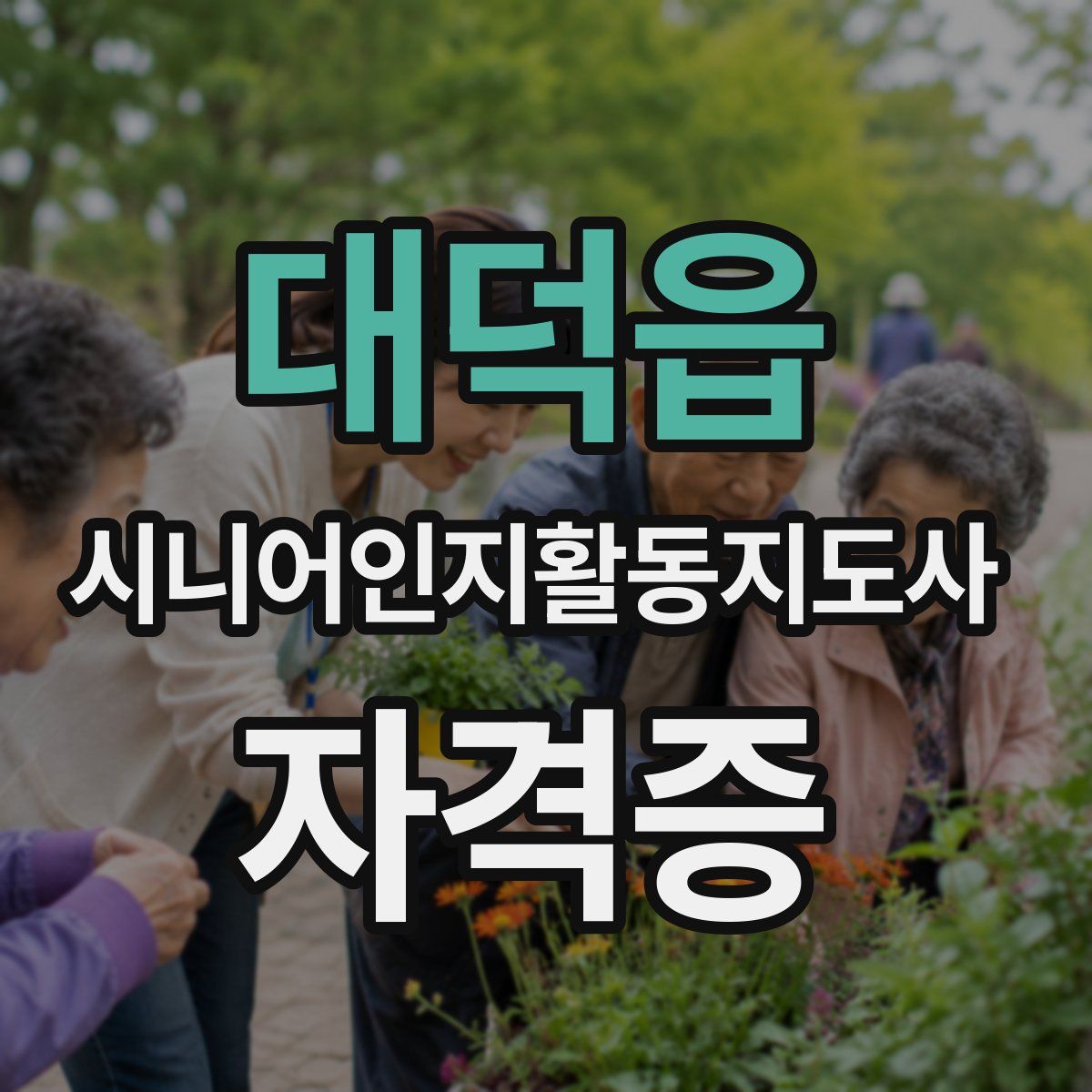 대덕읍 시니어인지활동지도사 자격증