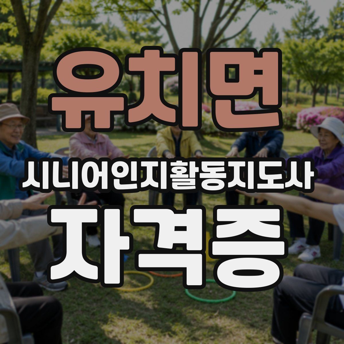 유치면 시니어인지활동지도사 자격증 시험 대비 핵심 정리