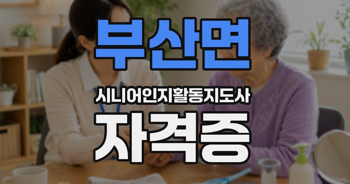 부산면 시니어인지활동지도사 자격증