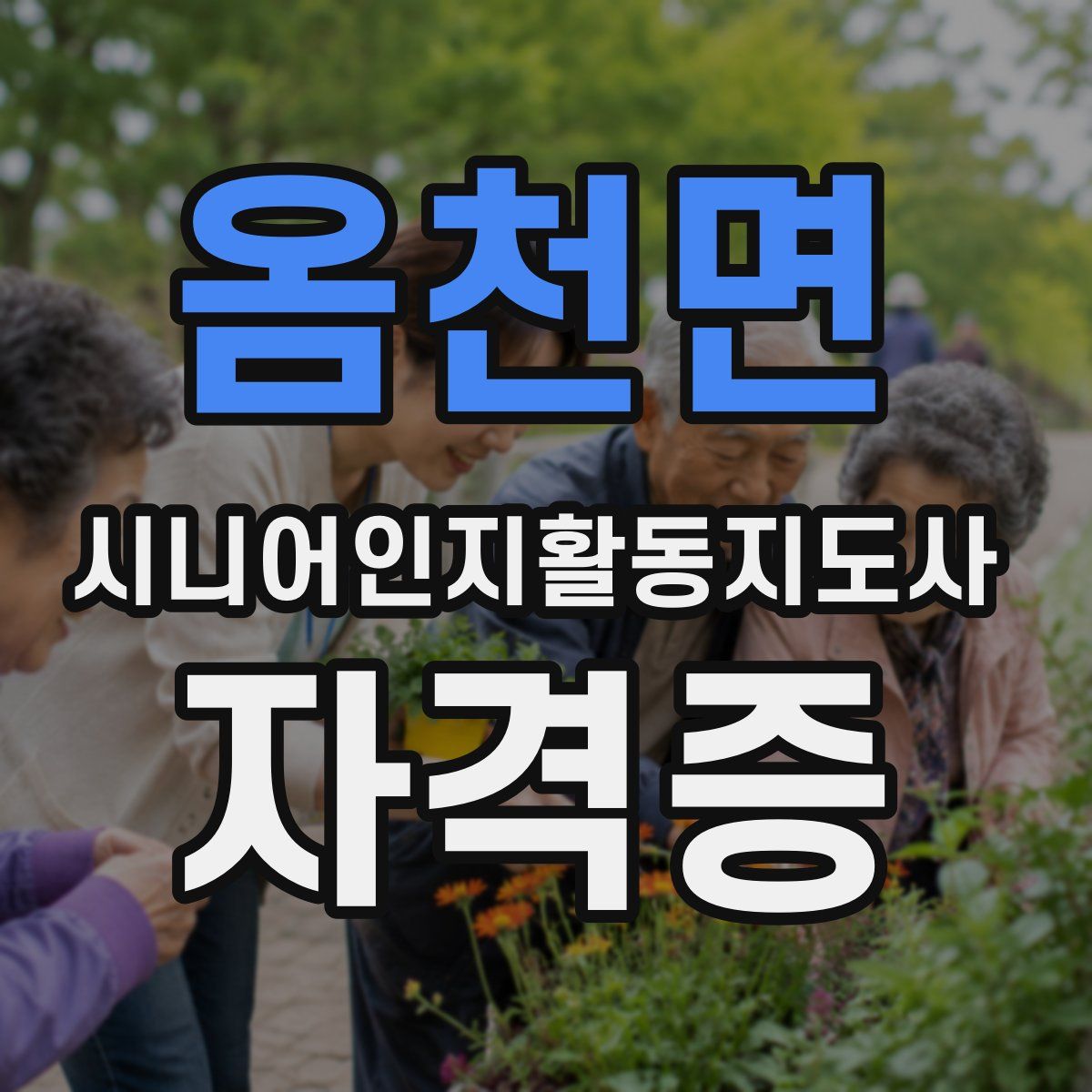 옴천면 시니어인지활동지도사 자격증