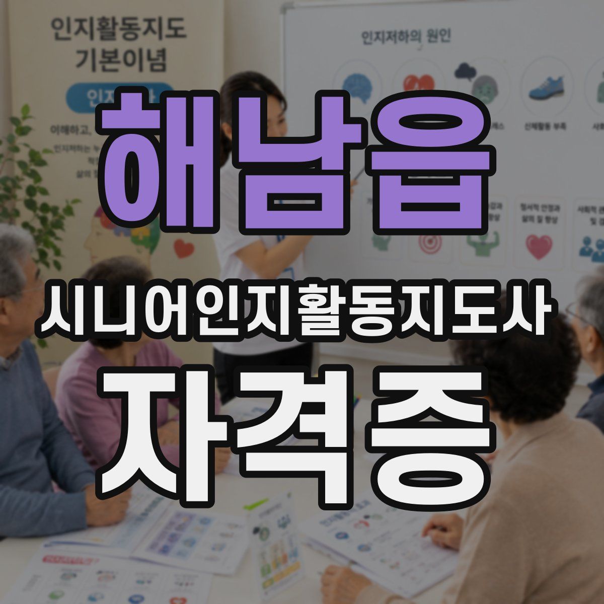 해남읍 시니어인지활동지도사 자격증