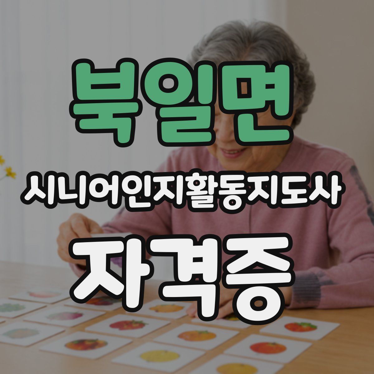 북일면 시니어인지활동지도사 자격증