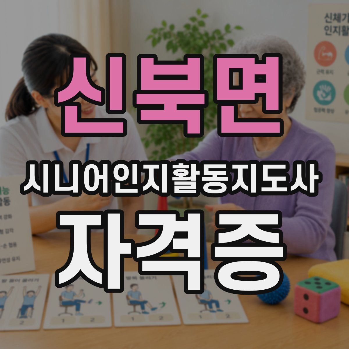 신북면 시니어인지활동지도사 자격증