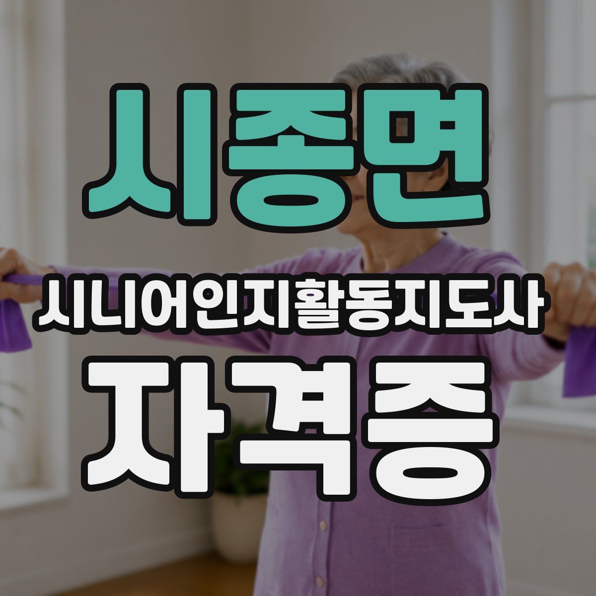 시종면 시니어인지활동지도사 자격증