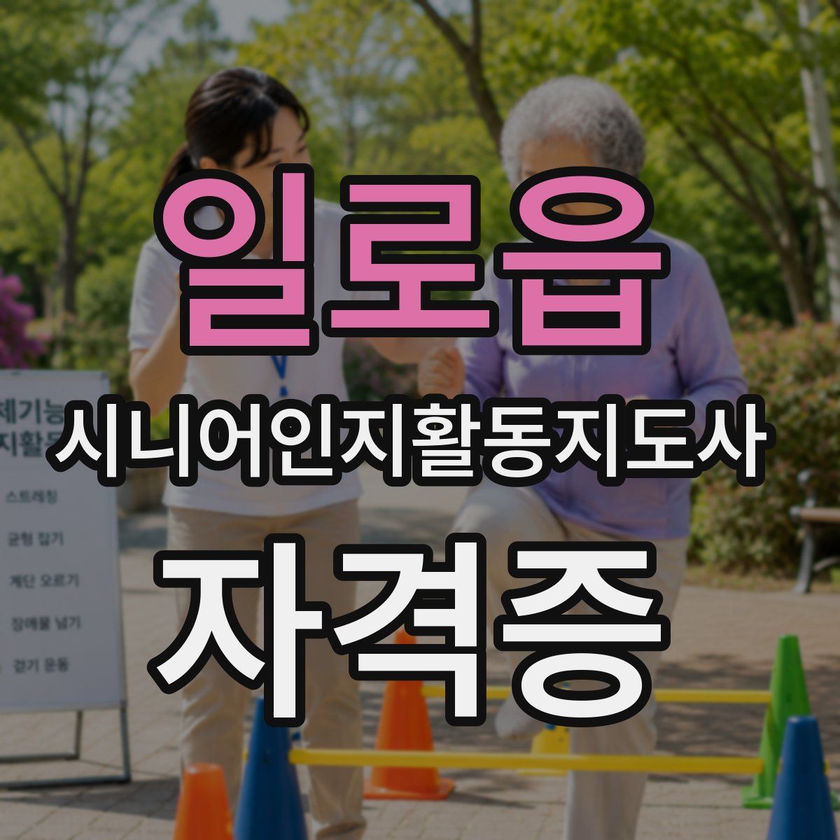 일로읍 시니어인지활동지도사 자격증