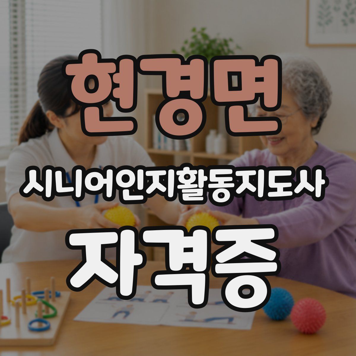 현경면 시니어인지활동지도사 자격증