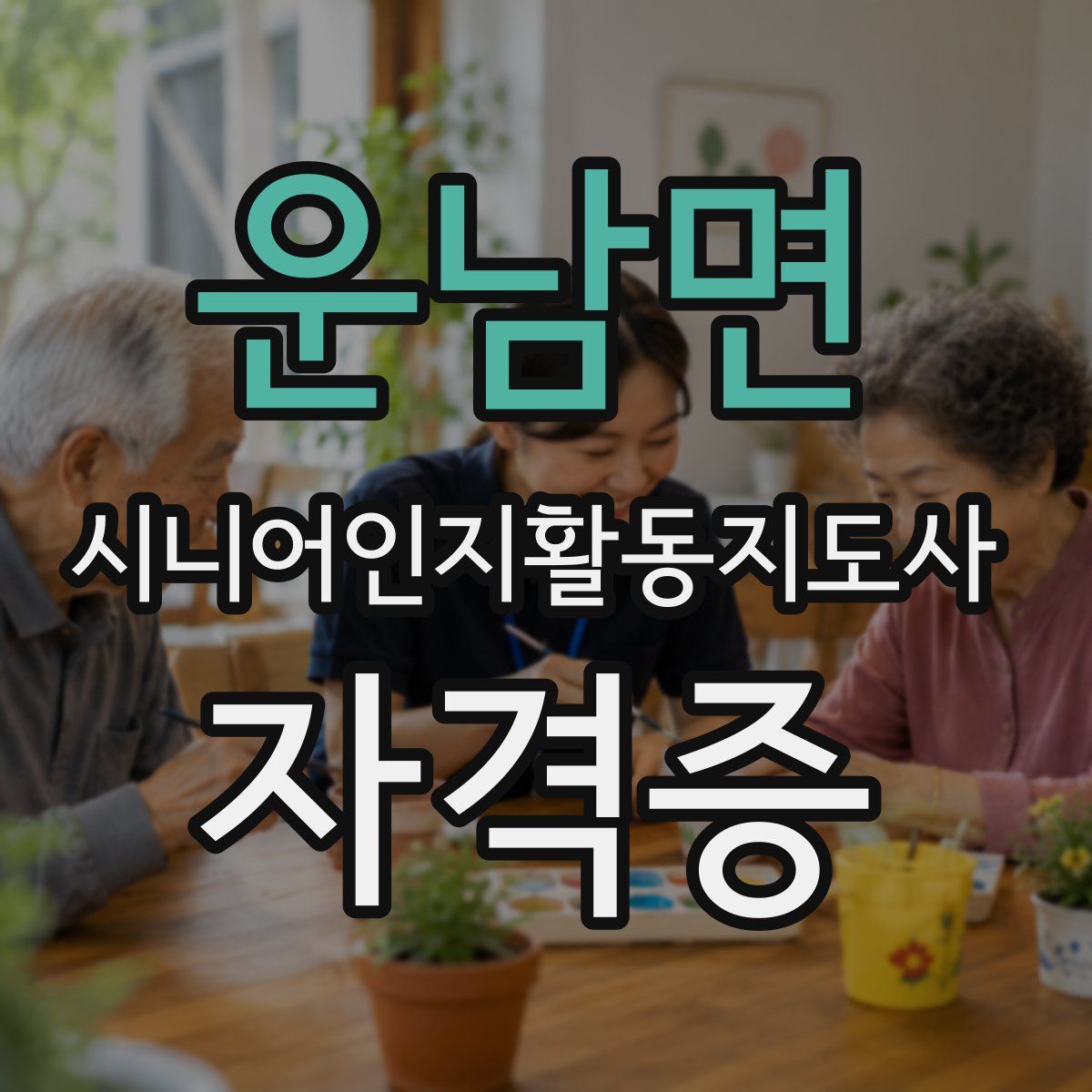 운남면 시니어인지활동지도사 자격증