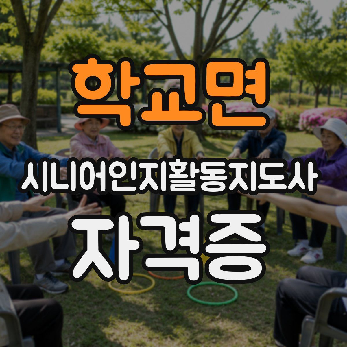 학교면 시니어인지활동지도사 자격증
