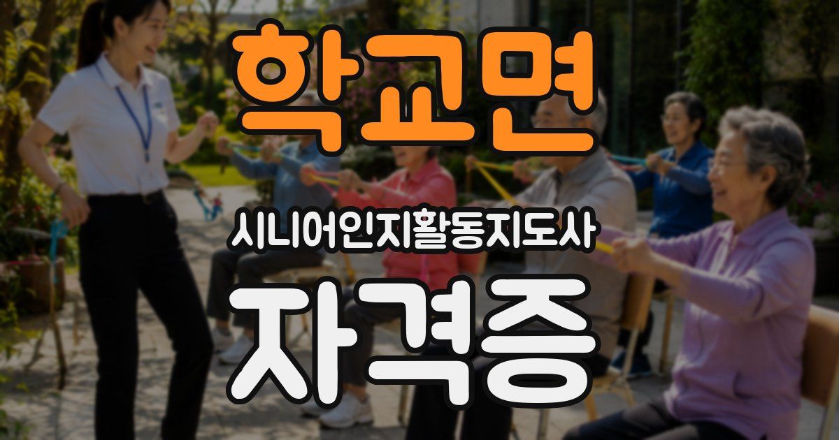 학교면 시니어인지활동지도사 자격증
