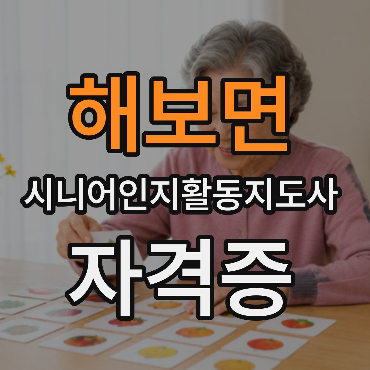 해보면 시니어인지활동지도사 자격증