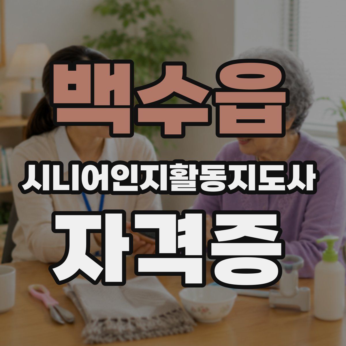 백수읍 시니어인지활동지도사 자격증