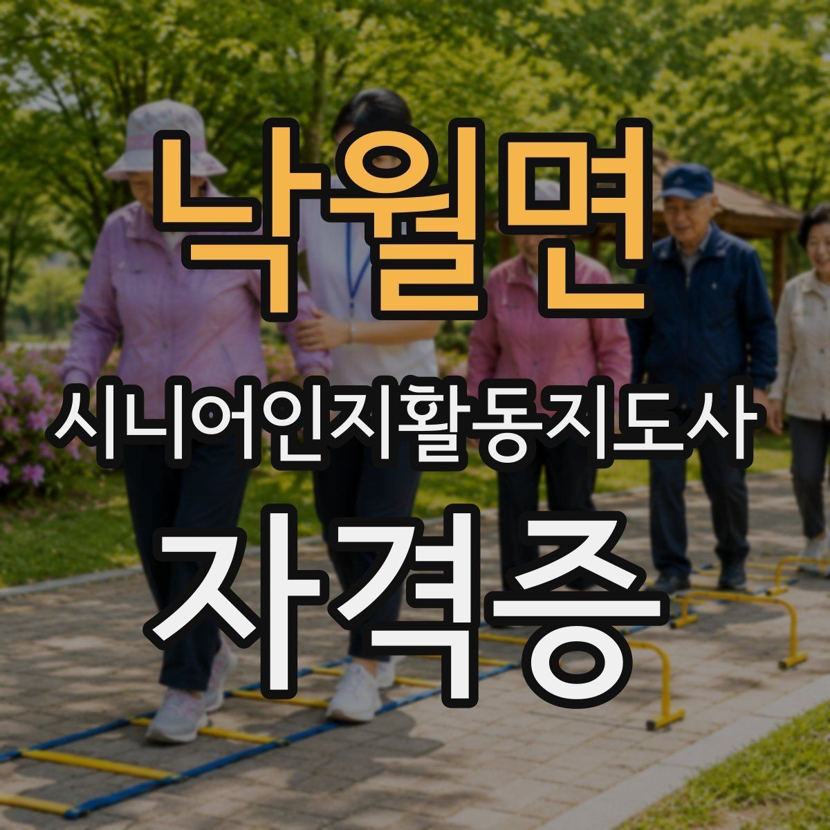 낙월면 시니어인지활동지도사 자격증 관련 지원 제도나 혜택 살펴보기
