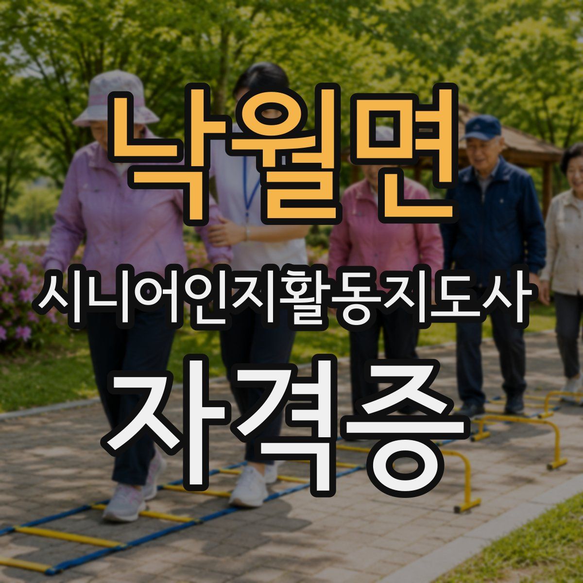 낙월면 시니어인지활동지도사 자격증