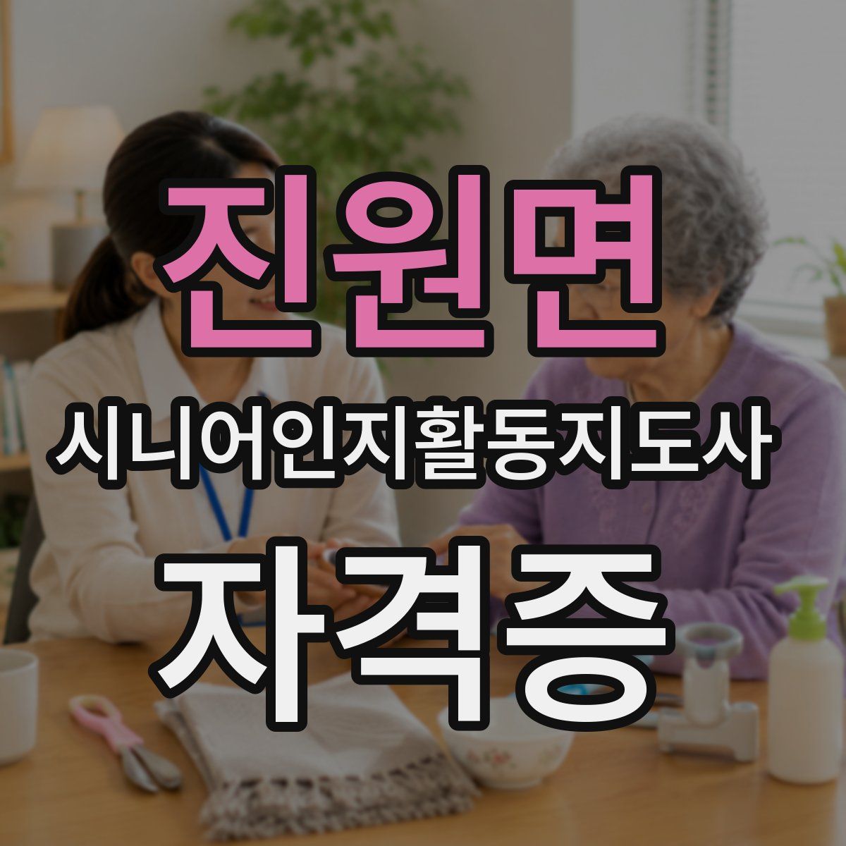진원면 시니어인지활동지도사 자격증