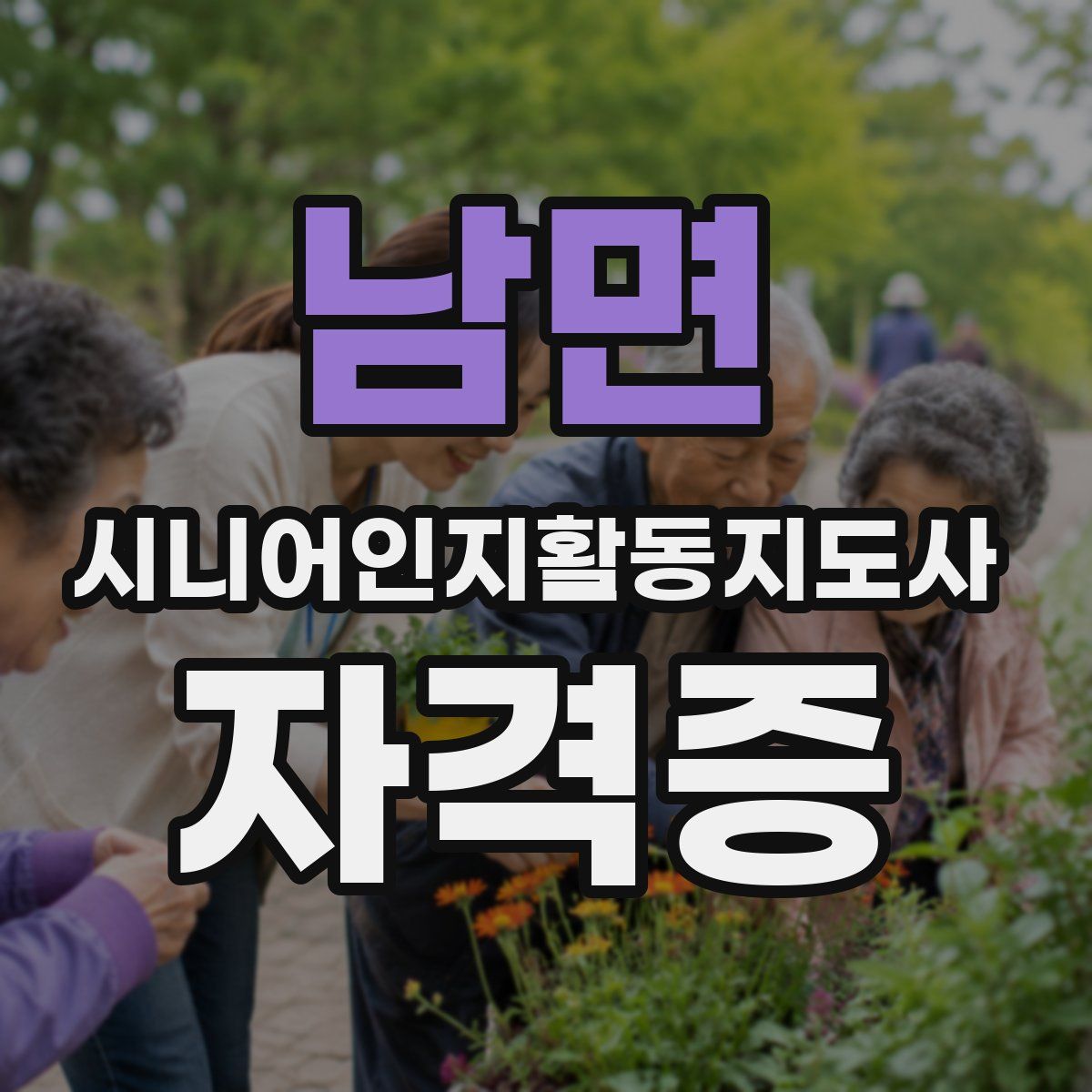 남면 시니어인지활동지도사 자격증