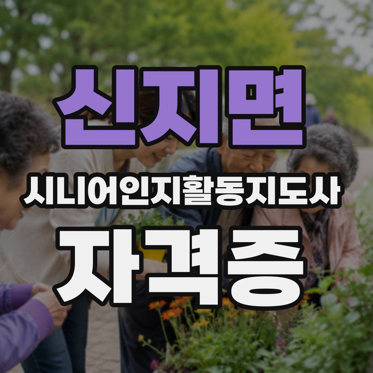 신지면 시니어인지활동지도사 자격증