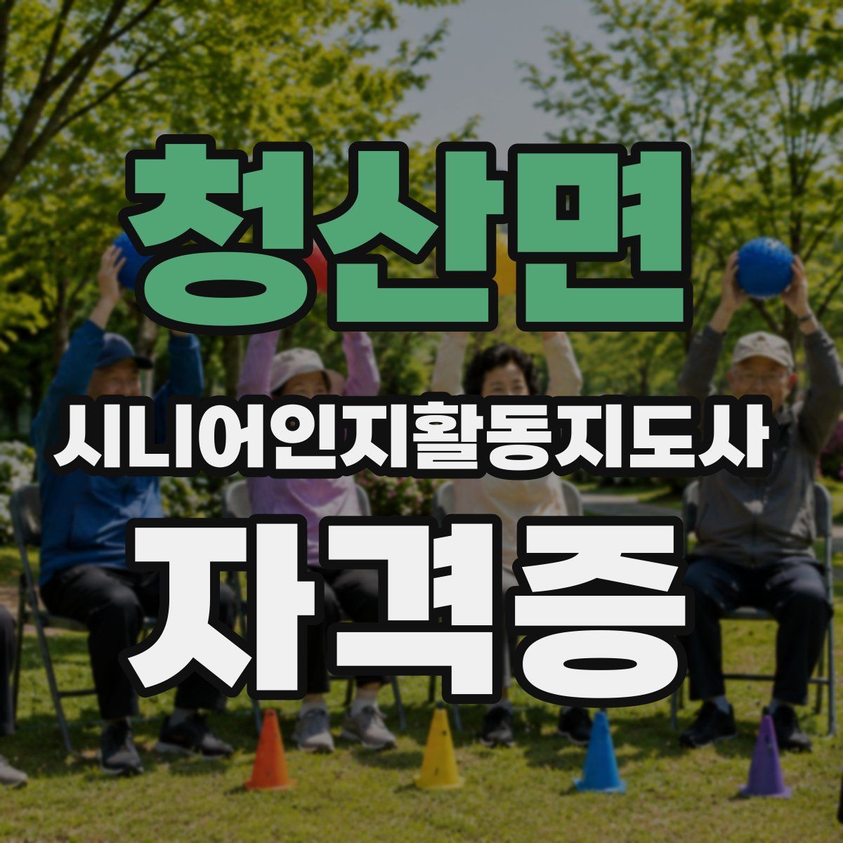 청산면 시니어인지활동지도사 자격증